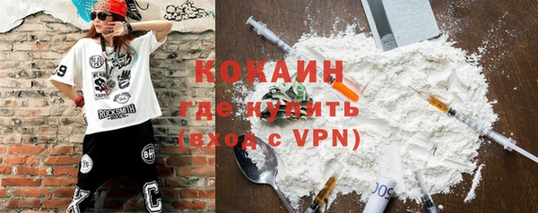 гидра Бородино