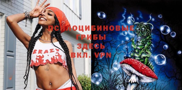 гидра Бородино