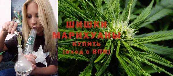 гидра Бородино