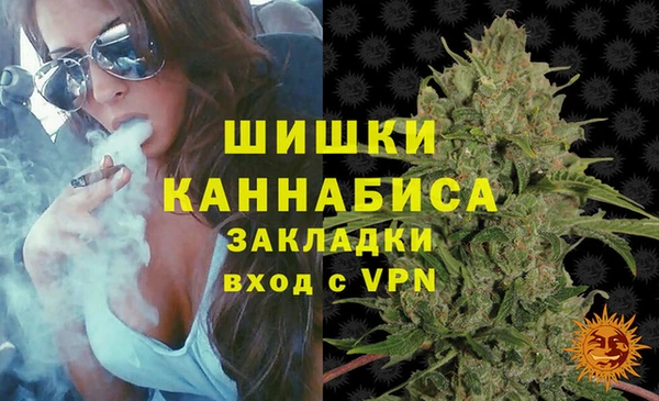 гидра Бородино