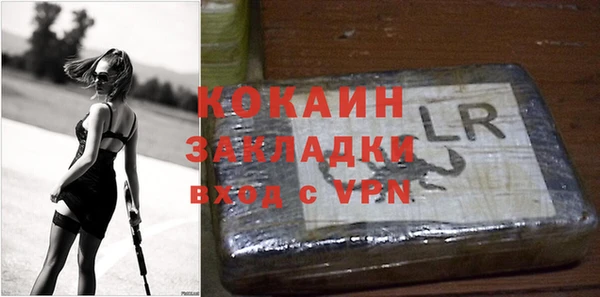 гидра Бородино